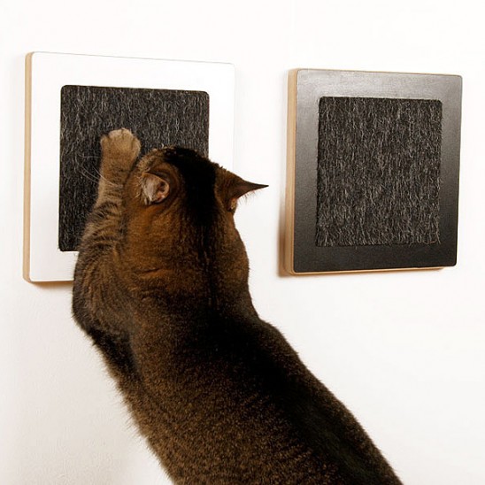 catscratchcat