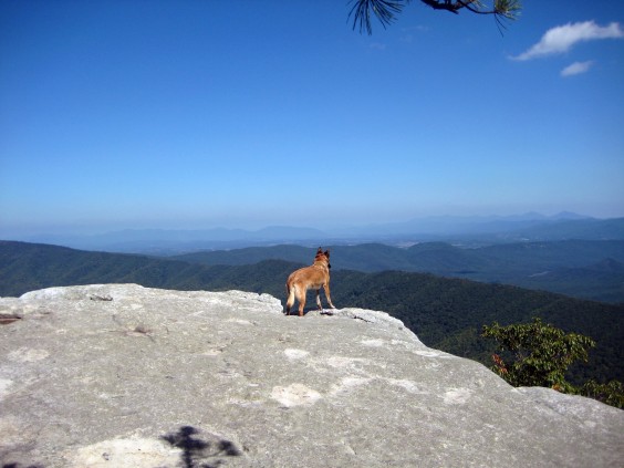 Appalachian Trail