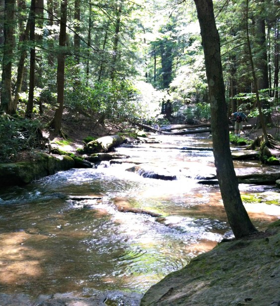 Swallow Falls
