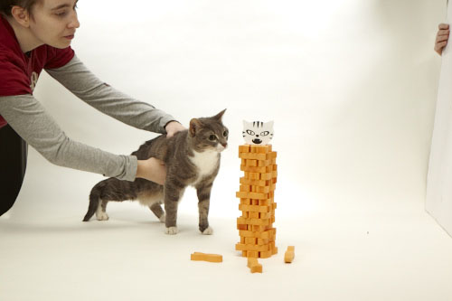 With a little help from her owner | UncommonGoods