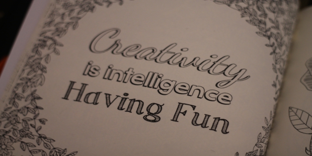Creativity is Intelligence Having Fun