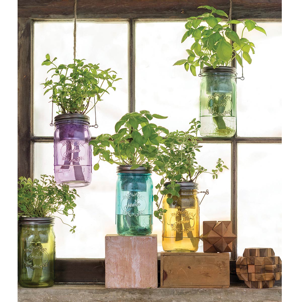 Mason Jar Indoor Herb Garden | UncommonGoods